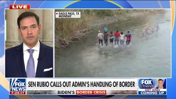 Marco Rubio torches Biden admin, says border is 'overrun': 'They're listening to radical left-wing activists'