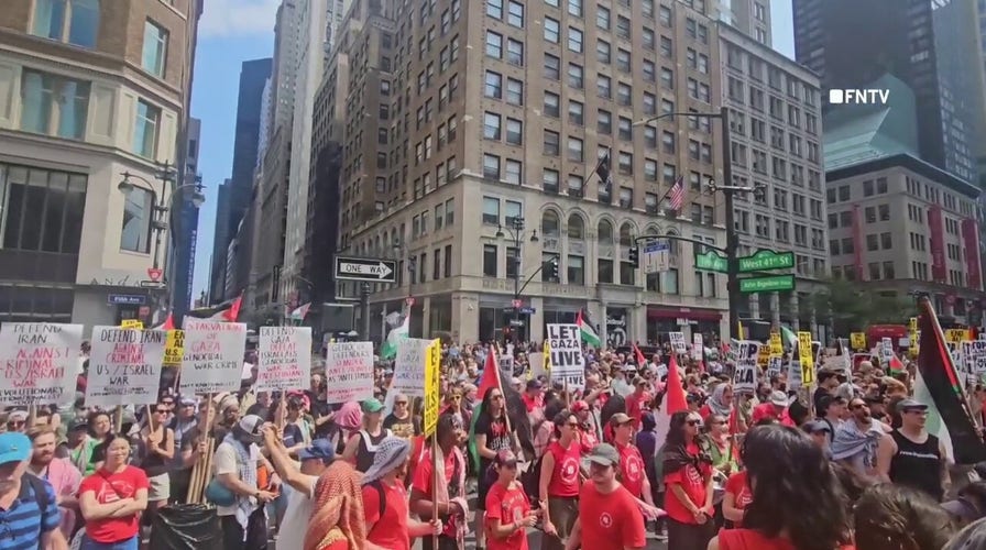 Thousands of pro-Palestine demonstrators rally in New York