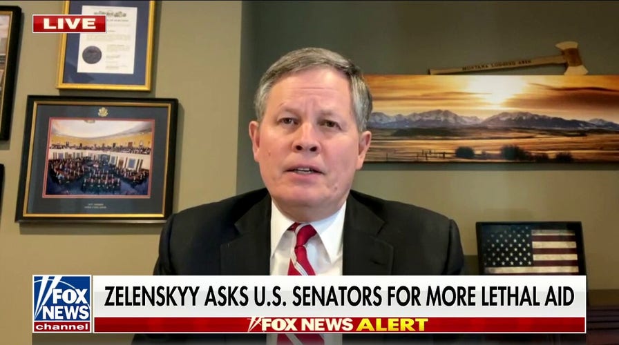 Sen. Steve Daines: Russia committing war crimes ‘before our very eyes’
