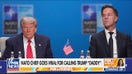 NATO chief praises Trump’s leadership, addresses Ukraine war and 'daddy' nickname