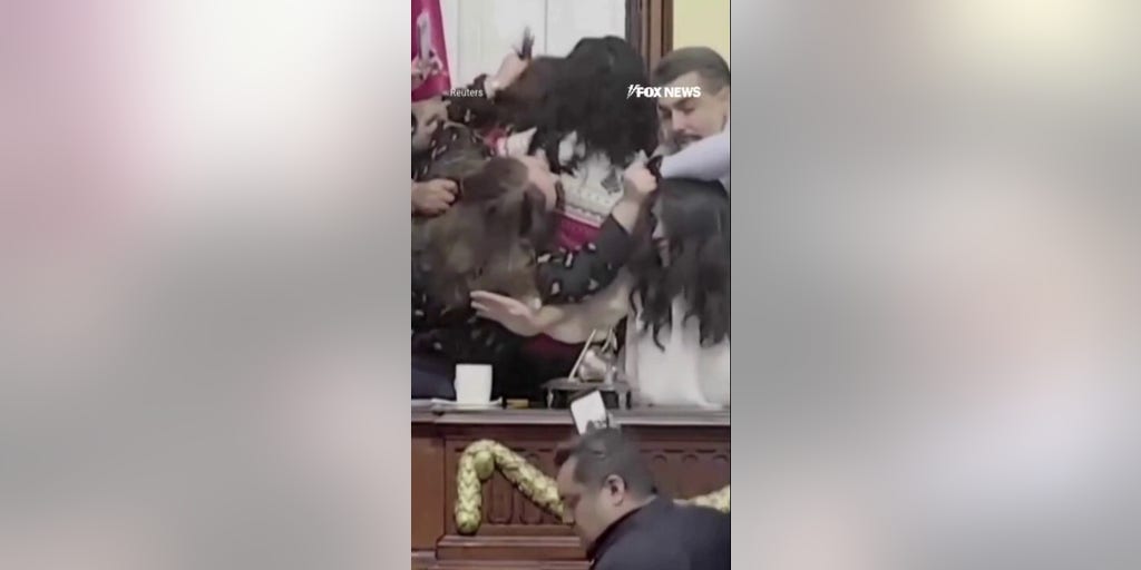 Mexico lawmakers BRAWL after debate spirals out of control