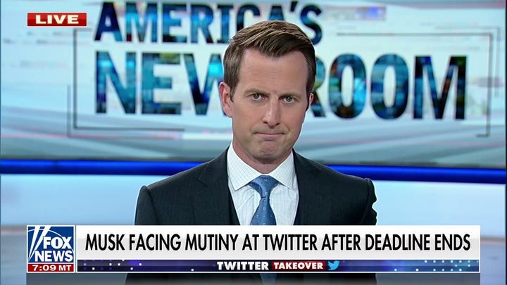 Elon Musk responds to concerns of Twitter's collapse