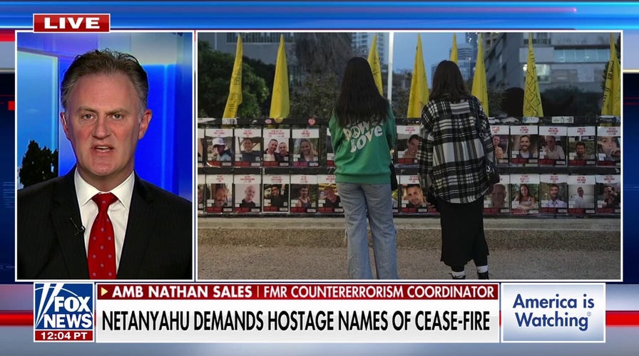 Trump's re-election sent an unmistakable signal we have Israel's back, Amb Nathan Sales says