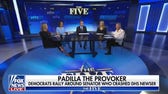 'The Five' unpacks Dems rallying around 'crasher'