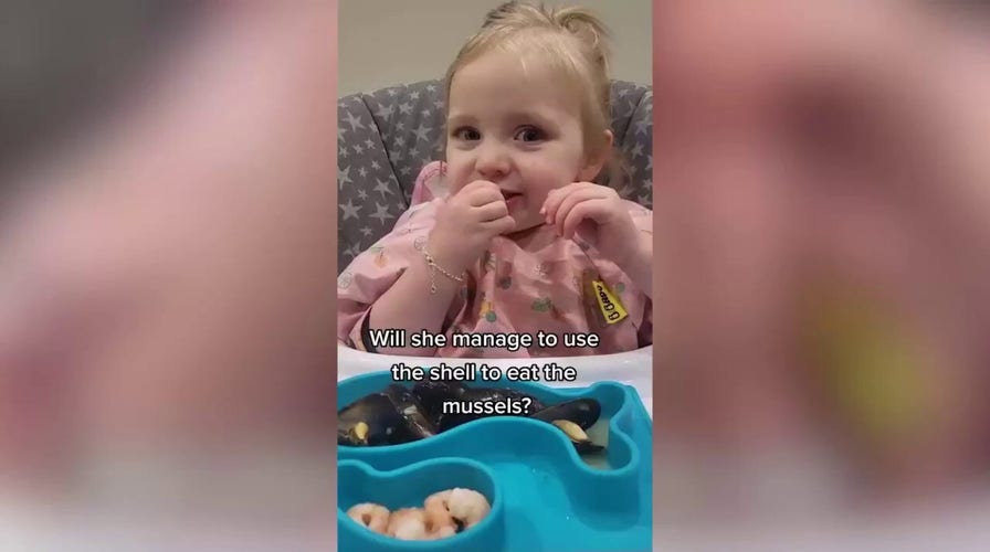 Toddler eats just about anything in adorable video