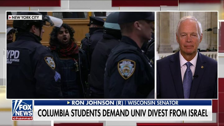 Sen. Johnson on anti-Israel protests: This double standard ‘troubles me’
