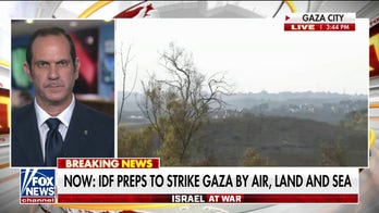 Former Israeli soldier suggests hostage rescue operations behind delay in ground invasion of Gaza