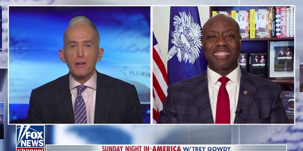 Democrats are willing to 'sell out current constituents' for power: Sen. Tim Scott