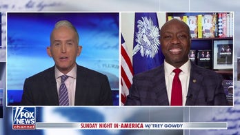 Democrats are willing to 'sell out current constituents' for power: Sen. Tim Scott
