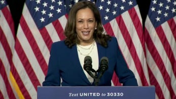 Kamala Harris represents 'complete socialist takeover of Joe Biden,' Trump 2020 adviser Schlapp says