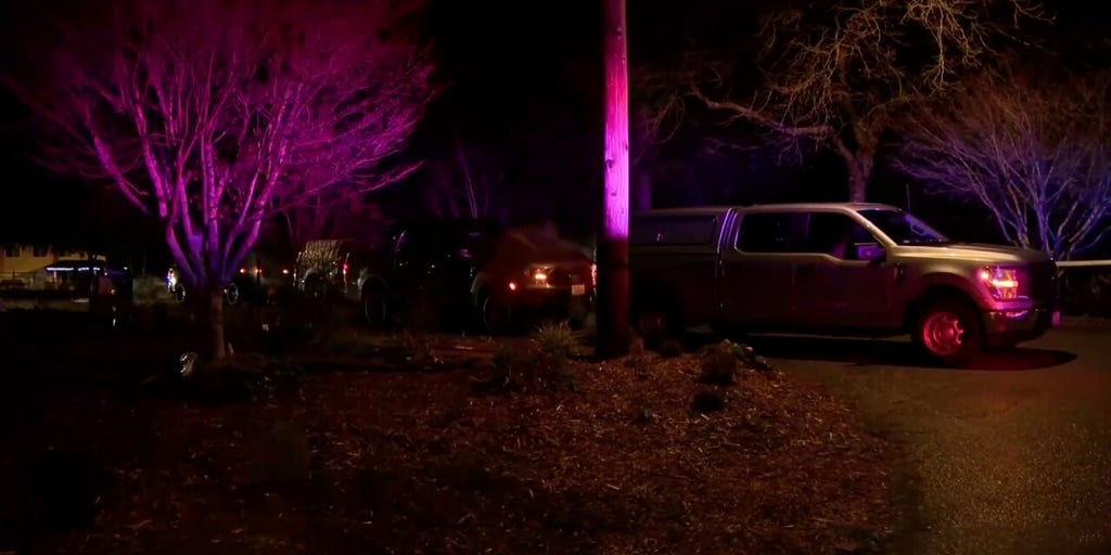Washington state teens with gang ties charged as adults in brutal stabbing of boy, 14