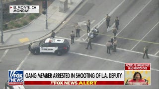 Gang member arrested in shooting of LA deputy - Fox News