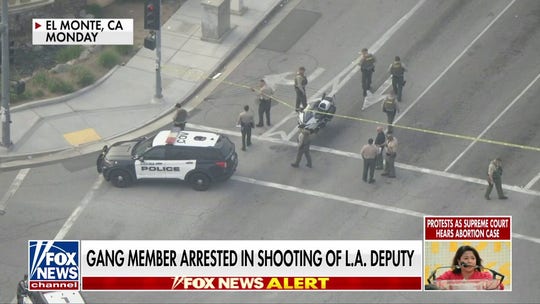 Gang member arrested in shooting of LA deputy