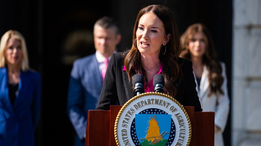 Agriculture Sec Rollins says Americans volition 'see existent relief' successful system soon