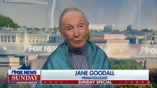 Jane Goodall encourages people to 'vote for nature': It's the 'future of the very planet on which we depend' - Fox News