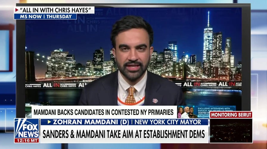 Far-left extremists look to reshape the Democratic Party