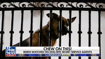 Commander Biden — back in the dog house?