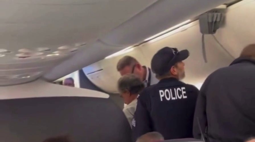 American Airlines passenger removed from plane after allegedly punching flight attendant