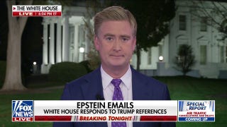 Timing of the Epstein emails release raises questions - Fox News