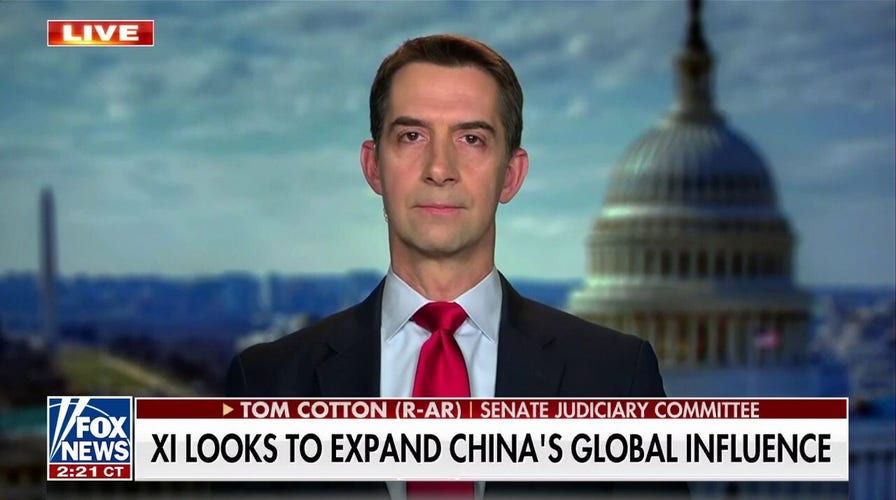 Sen. Tom Cotton: Biden has put a ‘kick me’ sign on the back of Uncle Sam