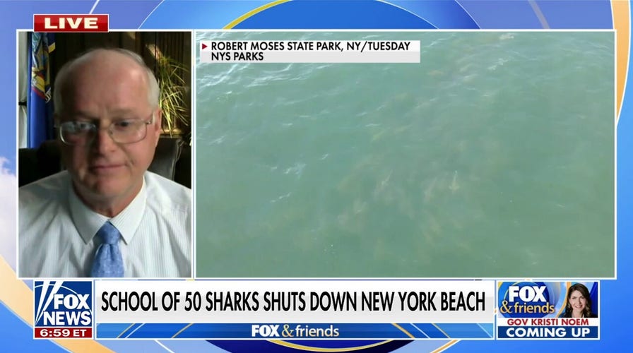 Shark sightings force New York beach to close over the holiday