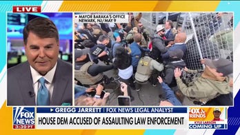 Dem responds after being charged in connection with clash at ICE facility: 'Purely political'