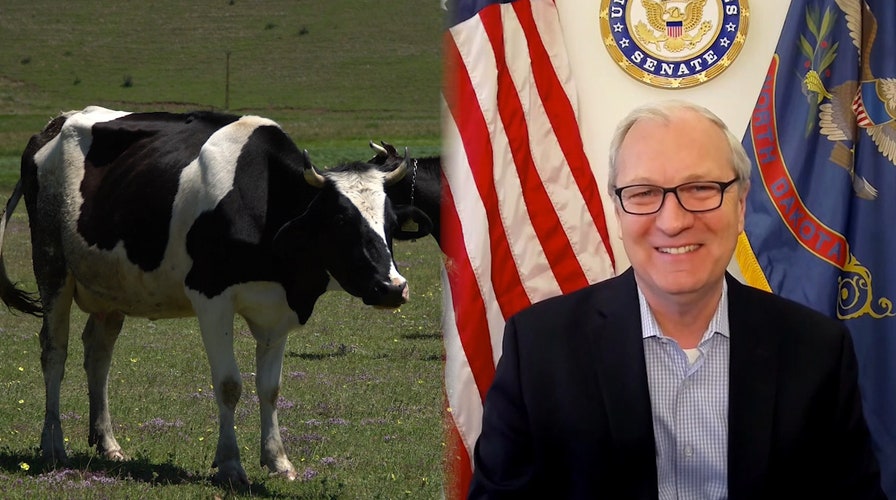 Exclusive: GOP Senator looks for answers on high beef costs amid coronavirus pandemic 