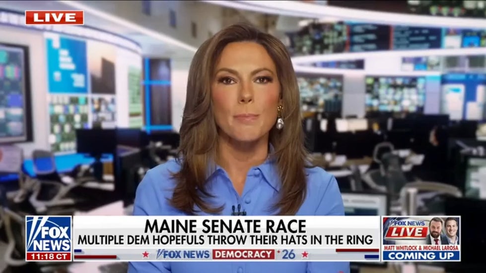 Lisa Boothe warns Democrats want to ‘dismantle the system from within’