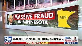 Viral independent investigation into Minnesota fraud sparks massive criticism