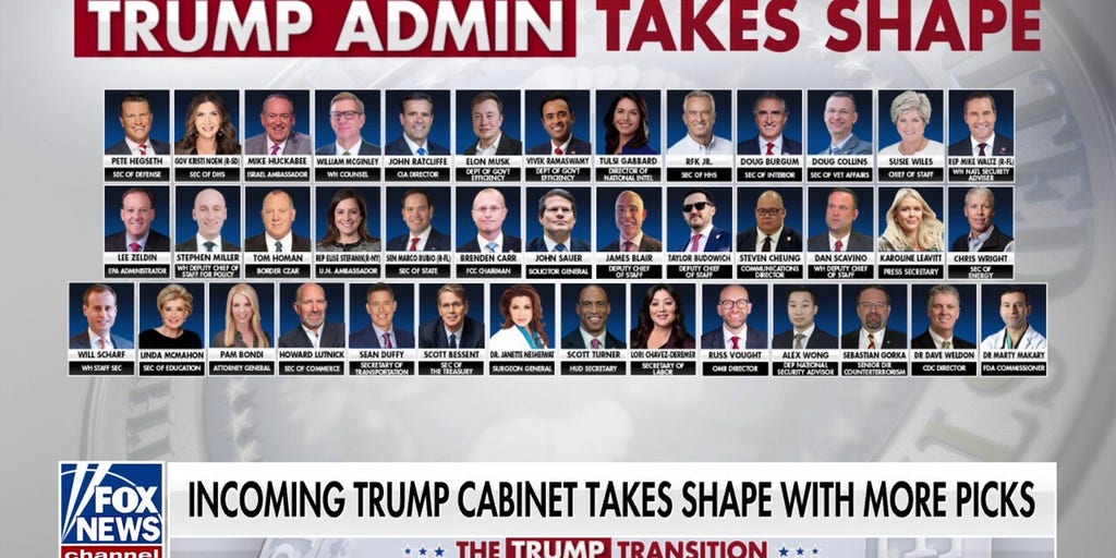GOP rep praises Trump's Cabinet picks as 'not just the same old, same old'