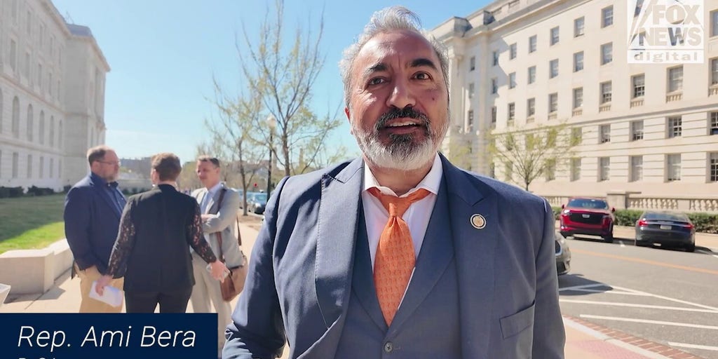 Democratic lawmakers defend anti-Israel activist: 'Free Mahmoud Khalil'