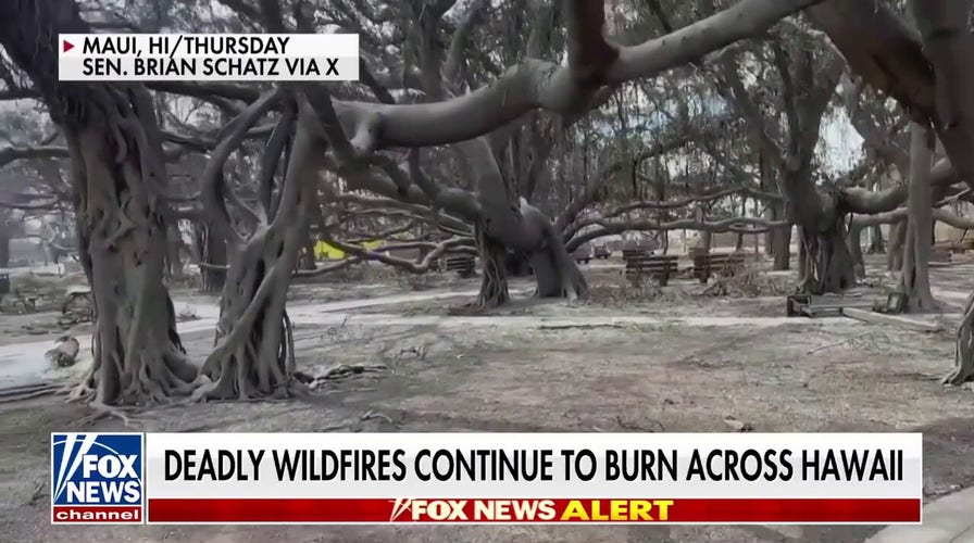 Death toll climbs to 55 in Hawaii wildfires