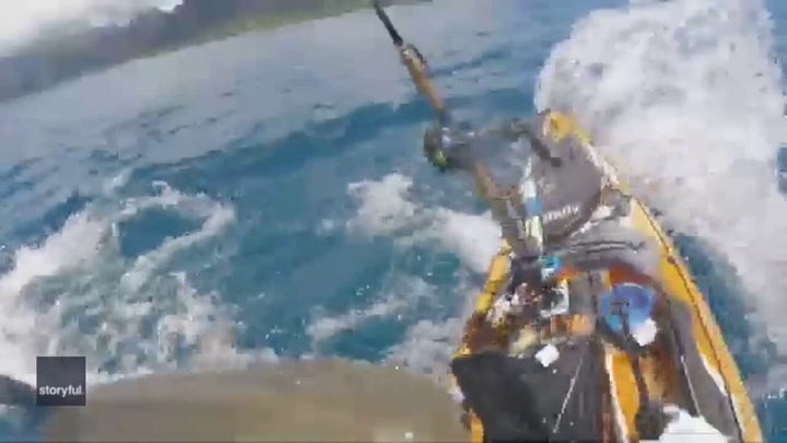 Tiger Shark attacks kayaker off Hawaii coast