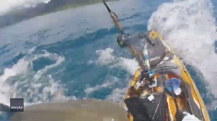 Tiger Shark attacks kayaker off Hawaii coast