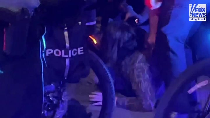 Chicago police make arrests among protesters at the DNC