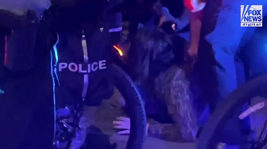 Chicago police make arrests among protesters at the DNC