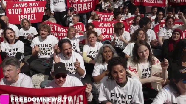 Elliot Page, Susan Sarandon, Chelsea Manning seen blocking UN entrance in Netanyahu protest