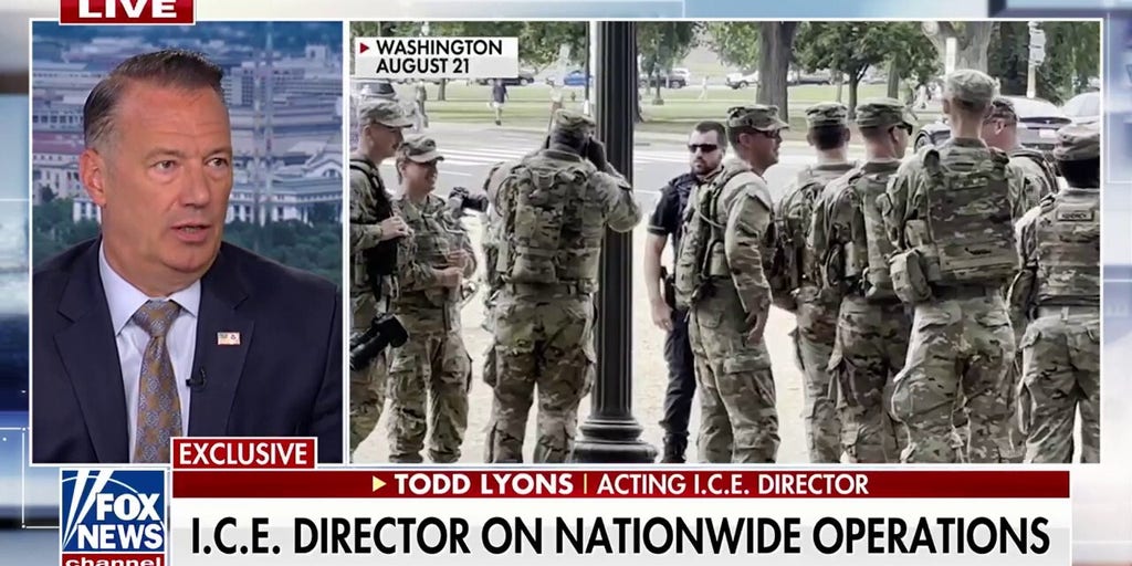 We are arresting criminal aliens that should not be in the US, acting ICE director says