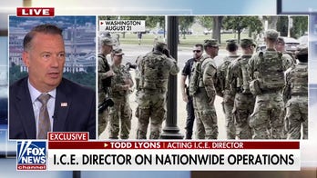 We are arresting criminal aliens that should not be in the US, acting ICE director says 