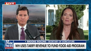 Brooke Rollins slams Dems over shutdown: ‘They are playing with our vulnerable moms and babies’