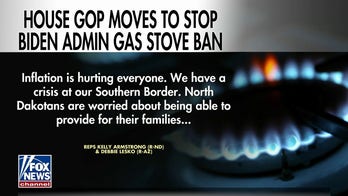 House Republicans introduce bill to stop Biden from banning gas stoves 