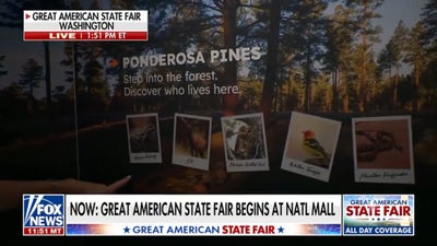 Augmented reality offers immersive experiences at Great American State Fair