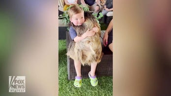 Toddler gives big hug to sloth in adorable video