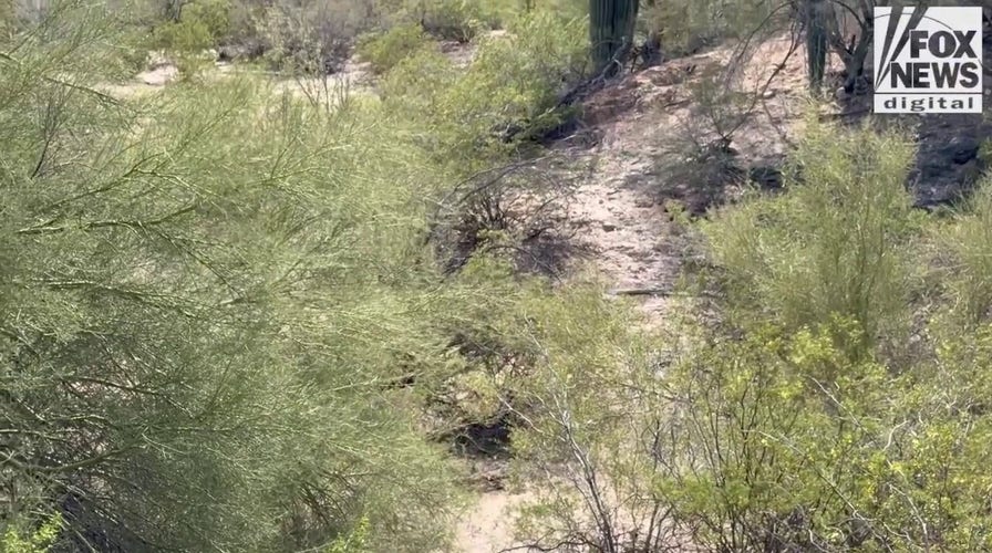 Investigators search the area behind Annie Guthrie's home in Tucson