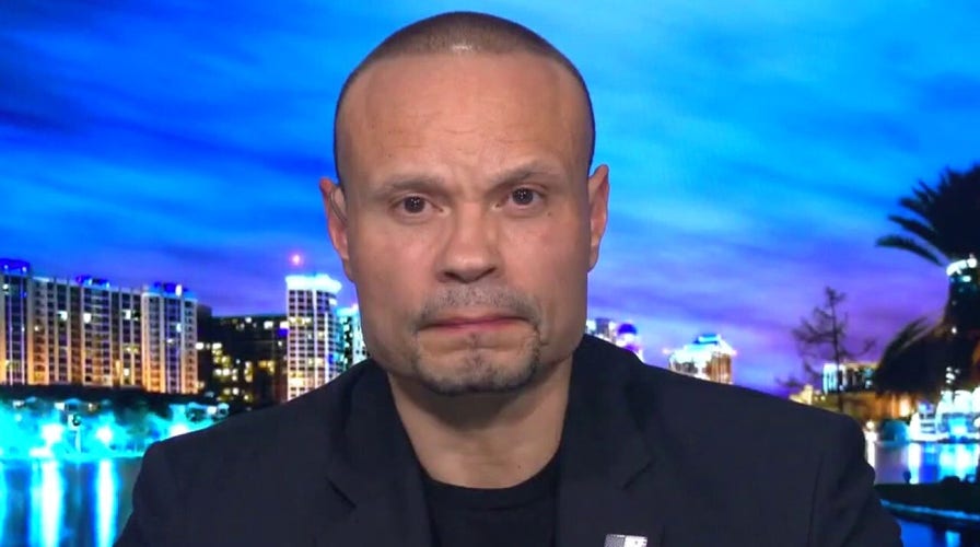 Dan Bongino: What went wrong with security at the US Capitol