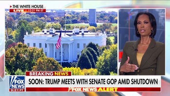 Democrats are fighting themselves: Harris Faulkner