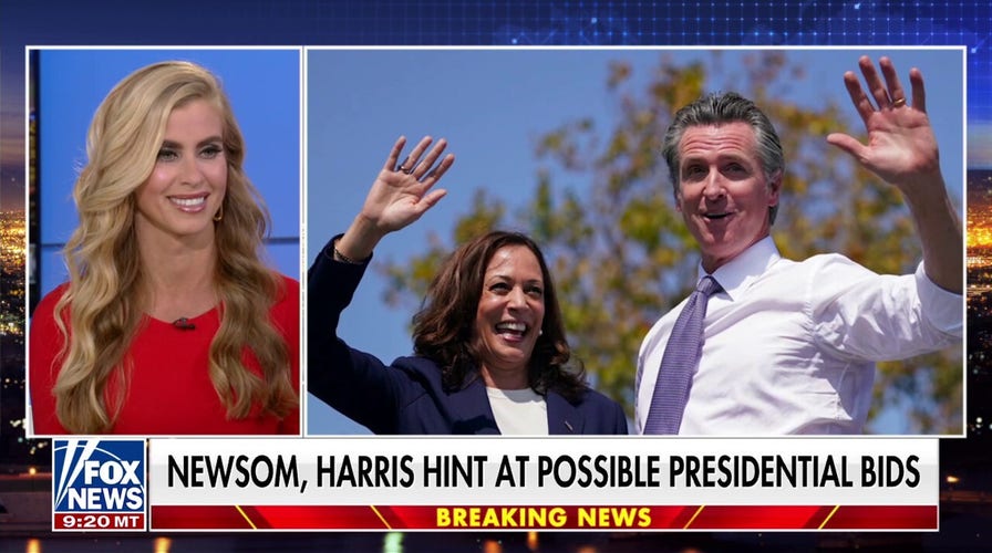 One of Kamala Harris' biggest 'failures' was not exercising the 25th Amendment, says political analyst