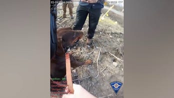 Indiana police officer saves dog found with zip tie around snout