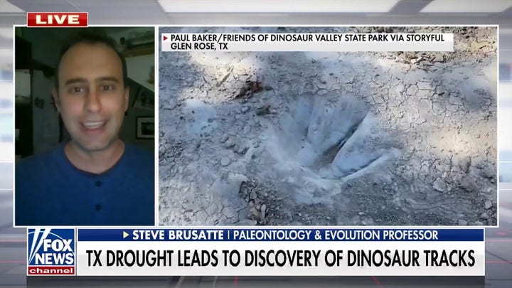 113-million-year-old dinosaur tracks were revealed after severe drought conditions plagued Texas