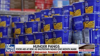 Americans voice frustrations over airport staffing issues and food aid at risk amid shutdown